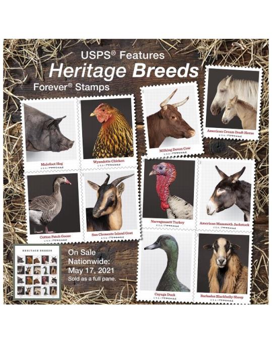USPS Features Heritage Breeds Forever Stamps. On Sale Nationwide: May 17, 2021. Sold as a full pane.