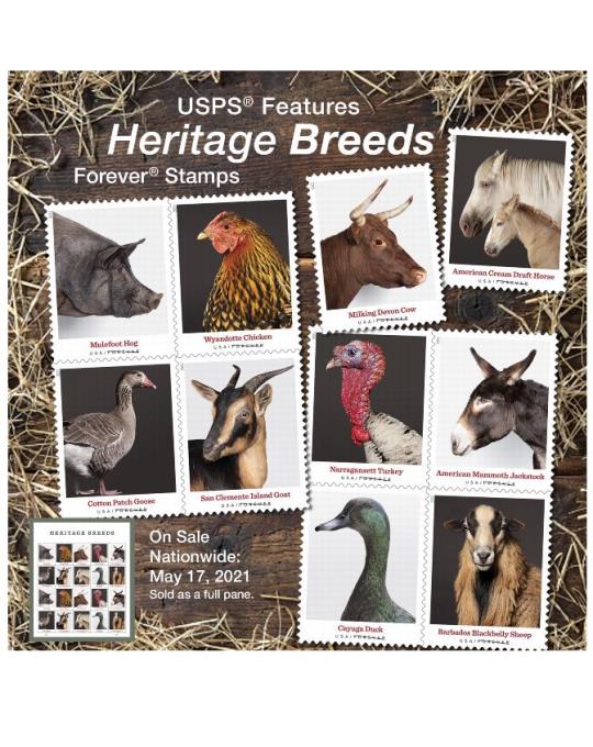 USPS Features Heritage Breeds Forever Stamps. On Sale Natonwide: May 17, 2021. Sold as a full pane.