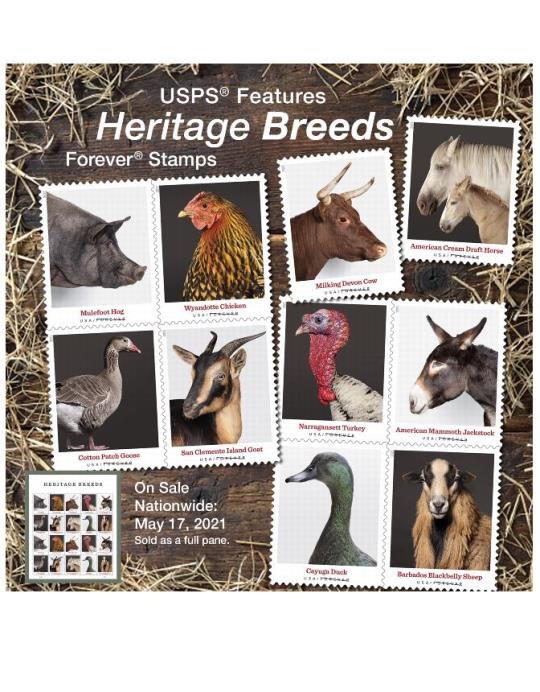 USPS features Heritage Breeds Forever Stamps. On sale nationwide: May 17, 2021. Sold as a full pane.