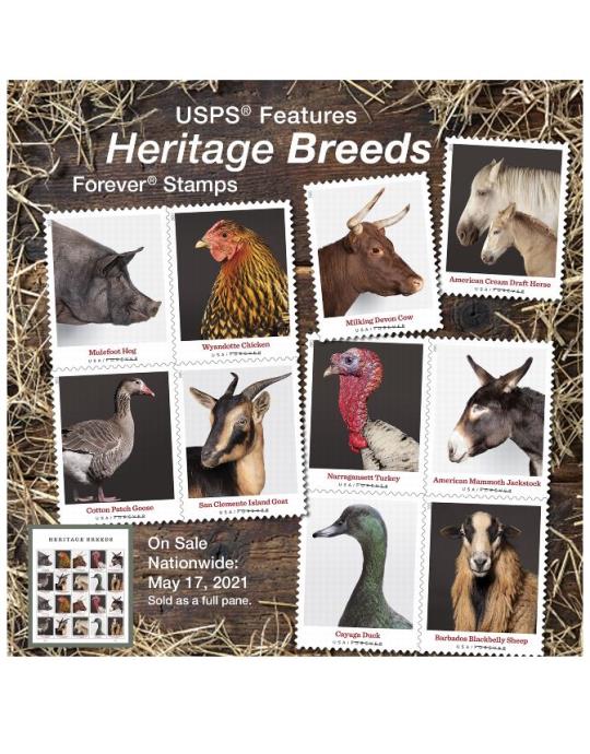 USPS features Heritage Breeds Forever Stamps. On sale nationwide May 17, 2021. Sold as a full pane.