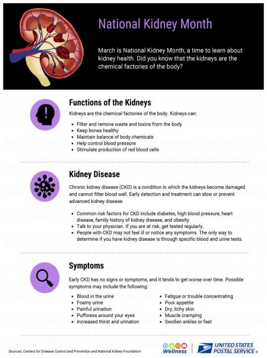 March is National Kidney Month, a time to learn about kidney health. The kidneys are the chemical factories of the body? Kidneys can:Filter and remove waste and toxins from the bodyKeep bones healthyMaintain balance of body chemicalsHelp control blood pressureStimulate production of red blood cellsChronic kidney disease is a condition in which the kidneys become damaged and cannot filter blood well.Common risk factors for CKD include diabetes, high blood pressure, heart disease, family history and obesity.If you are at risk, get tested regularly. People with CKD may not feel ill or notice any symptoms. The only way to determine if you have kidney disease is through specific blood and urine tests.Early CKD has no signs or symptoms, and it tends to get worse over time. Symptoms may include:Blood in the urineFoamy urinePainful urinationPuffiness around your eyesIncreased thirst and urinationFatigue or trouble concentratingPoor appetiteDry, itchy skinMuscle crampingSwollen ankles or feet