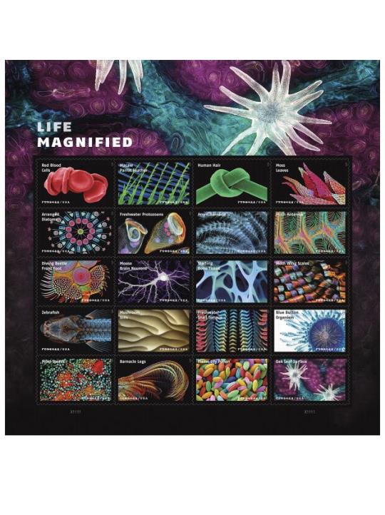 Life Magnified stamps