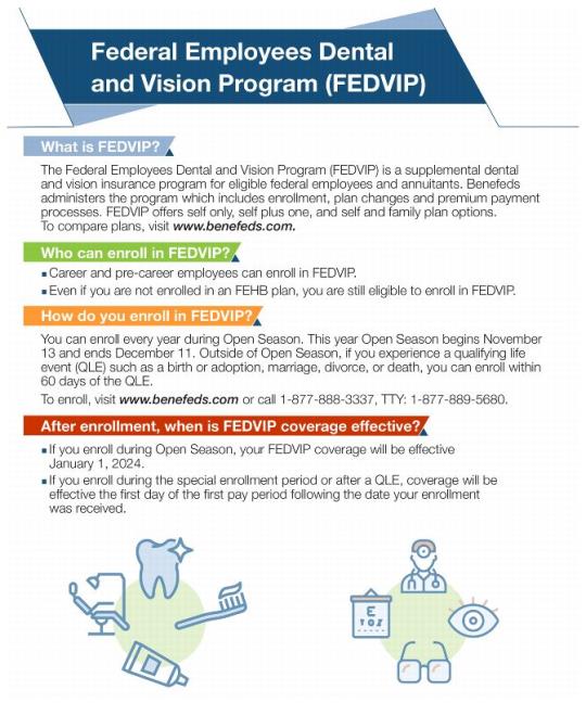 Description of Federal Employees Dental and Vision Program (FEDVIP)