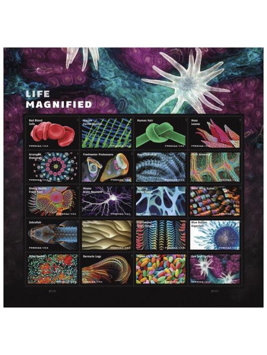 Life Magnified stamp poster