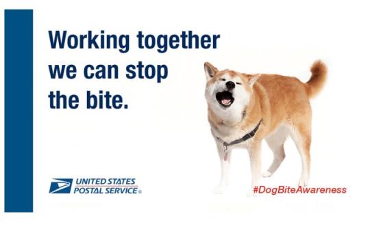 Dog Bite Social Media Card: Working together we can stop the bite. #DogBiteAwareness.