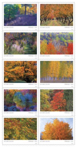 Autumn Colors Stamps