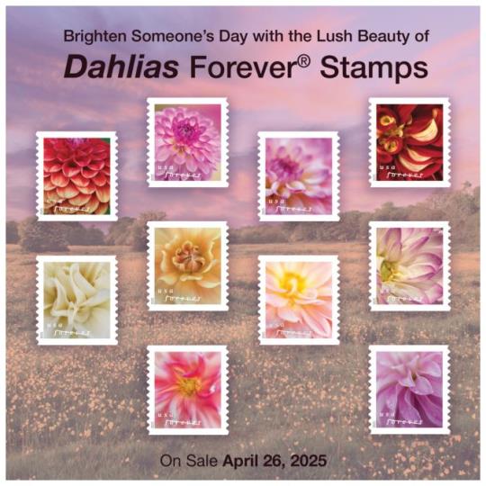 Back Cover: Brighten Someone’s Day with the Lush Beauty of Dahlias Forever Stamps. On Sale April 26, 2025