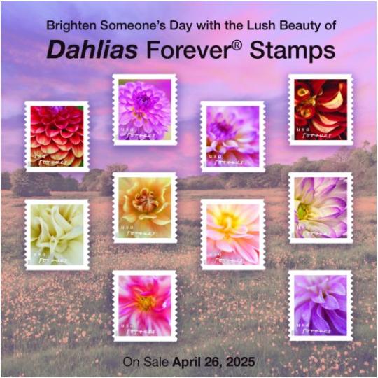 Brighten someone's day with Lush Beauty of Dahlias Forever Stamps.