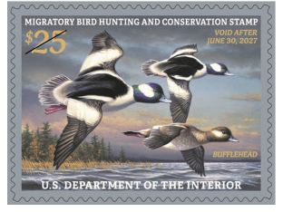 Migratory Bird FDOI