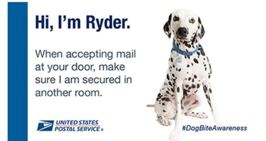 Dog Bite Ad: Hi, I'm Ryder. When accepting mail at your door, make sure I am secured in another room. United States Postal Service #DogBiteWareness