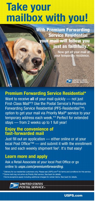 image of the front side of the printed brochure with a dog looking out the window of a car