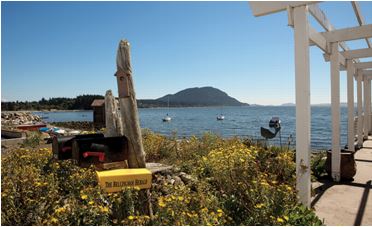 Rural area with mailboxes.