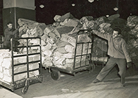 Nutting trucks, ca. 1950s