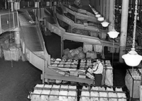 Greller parcel sorter, 1957