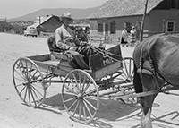 Horse-drawn wagon, 1940